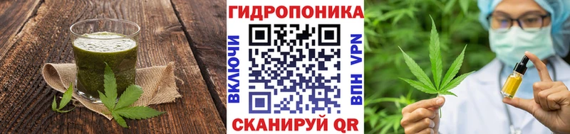 Canna-Cookies марихуана  закладка  Шали 