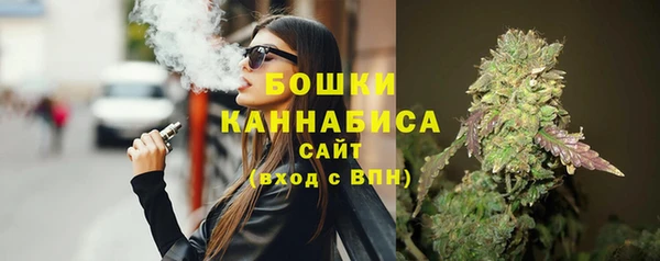 твердый Пересвет