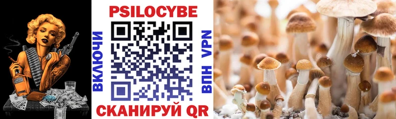 сколько стоит  Шали  Псилоцибиновые грибы MAGIC MUSHROOMS 