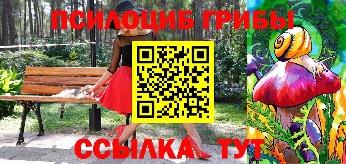 Псилоцибиновые грибы Cubensis Шали