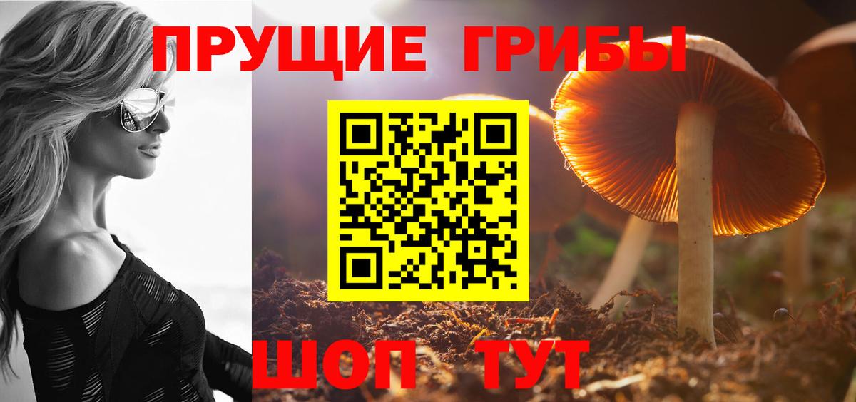 Псилоцибиновые грибы Psilocybine cubensis  Шали 